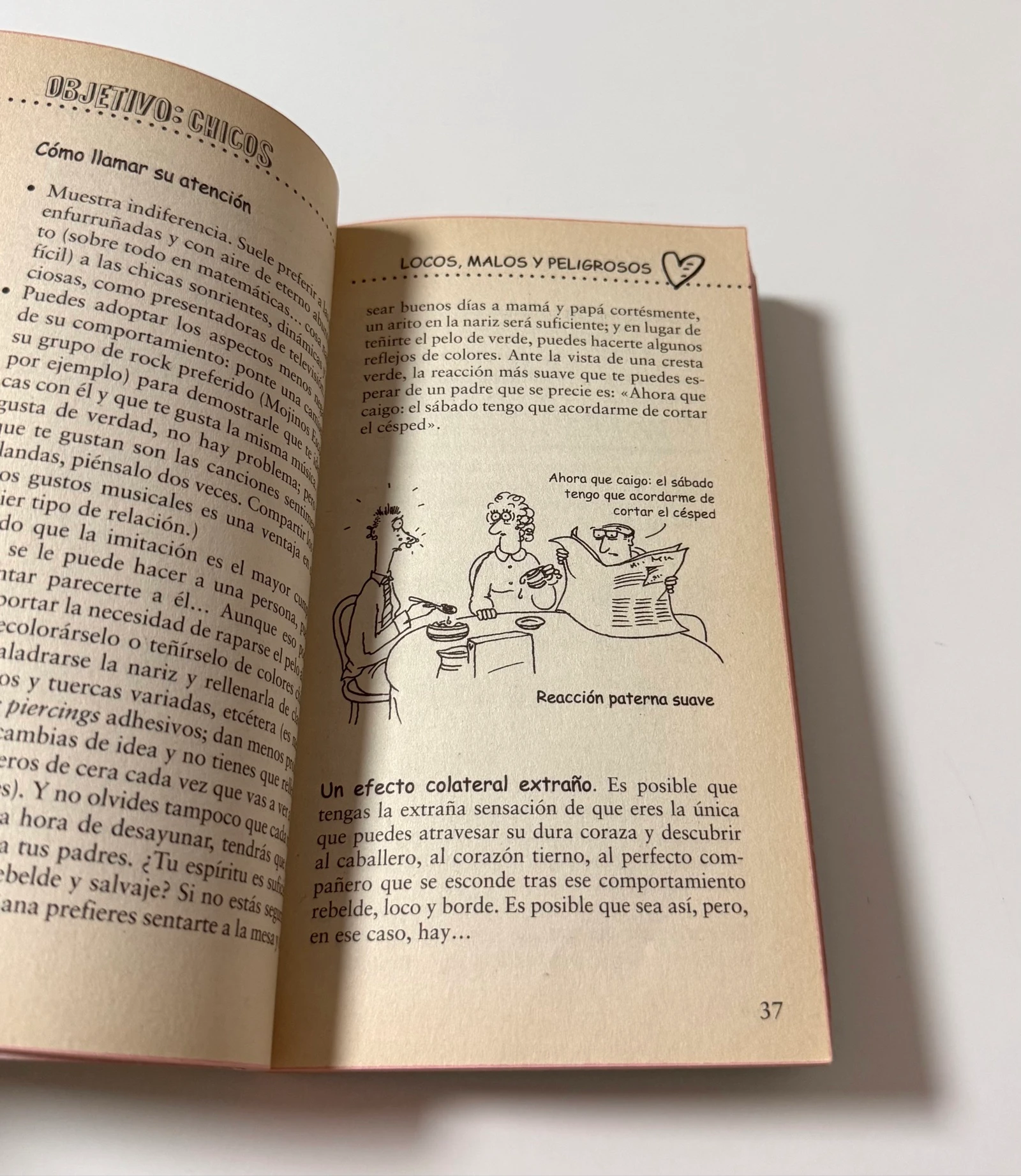 Libro Doel Jongens – photo 7